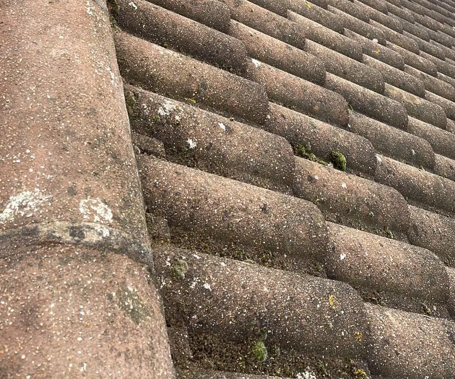 Brown roll roof tiles with small patches of moss in the joints, beside the ridge tiles.