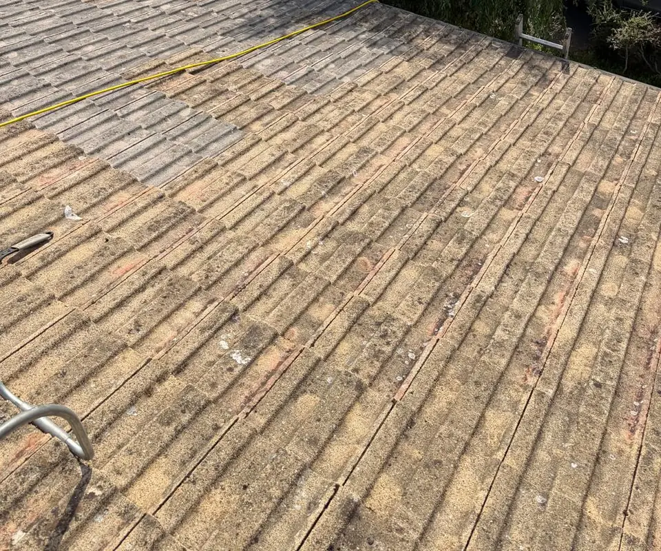 Brown roof tile rows without moss clumps, with a darker, wet band of biocide going on along the top beside a yellow hose, and a roof ladder hook in the corner.