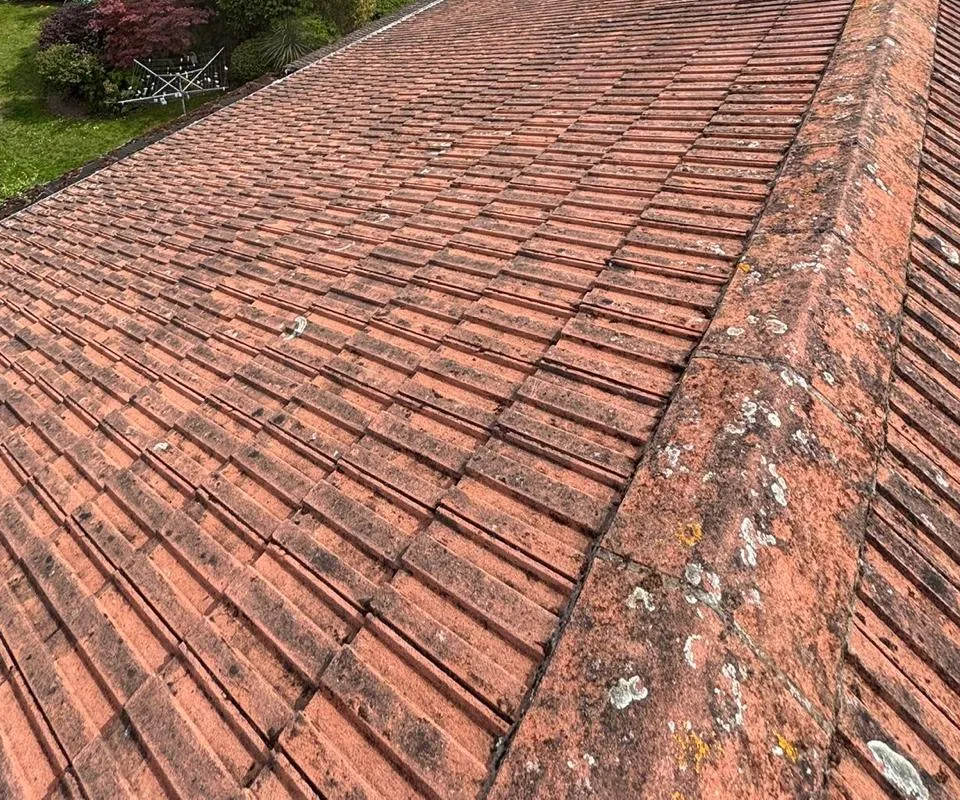 A slope of red ribbed roof tiles running down to a garden, beside a hip with lichen on its tiles.