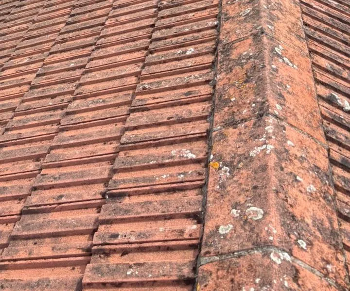 Close view of red hip tiles spotted with pale lichen beside rows of ribbed roof tiles.