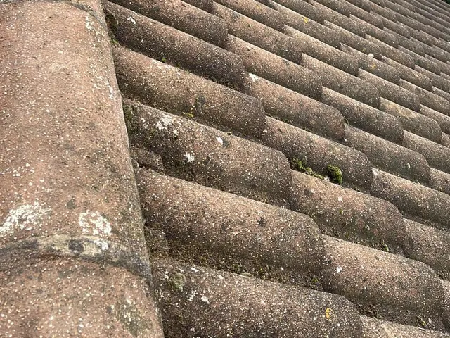 A rounded ridge above rows of brown concrete pantiles.
