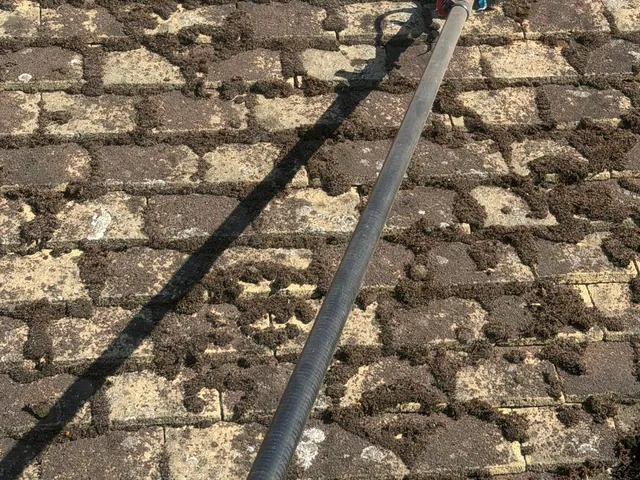 A long pole reaching up a slope of buff plain tiles patched with moss.