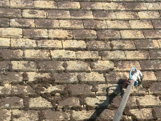 Upper courses of buff plain tiles with moss in the joints, the tool head at the lower right.