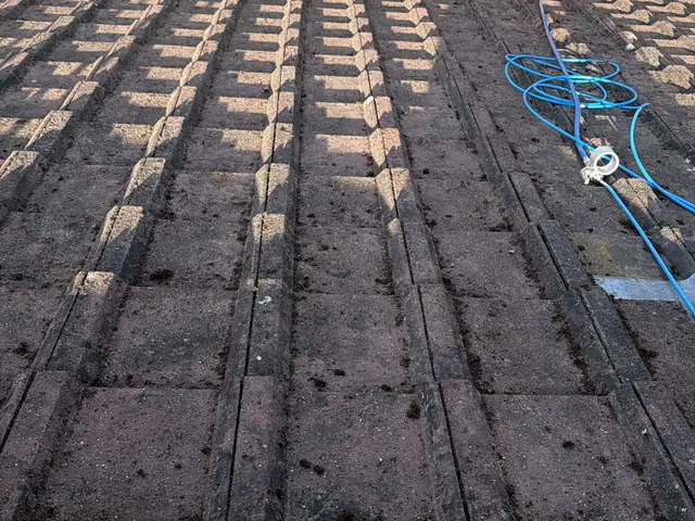 Concrete interlocking tiles seen from the ridge, with a blue hose coiled on the slope.