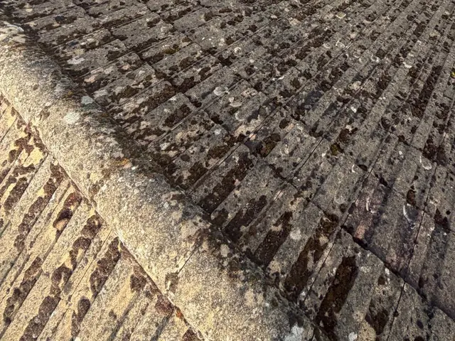 Dark moss covering concrete tiles on both sides of the ridge.