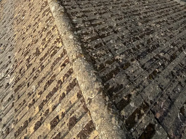 Brown tiles either side of a ridge, every tile rib darkened by moss.