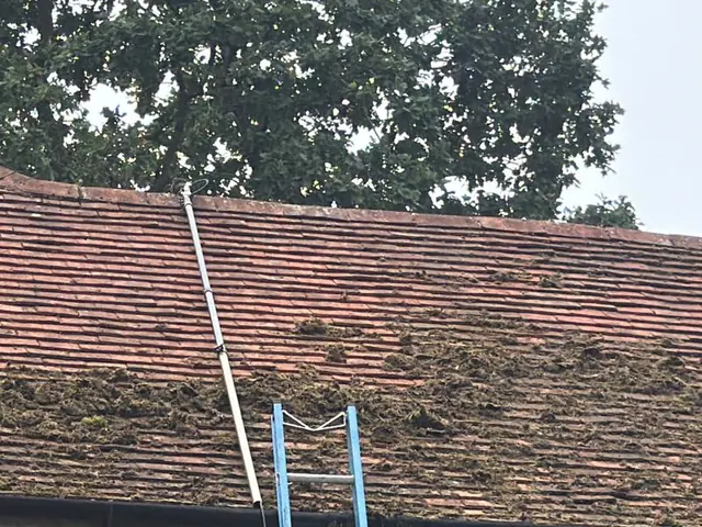 Moss gathered along the eaves of a red tiled roof above the gutter line.