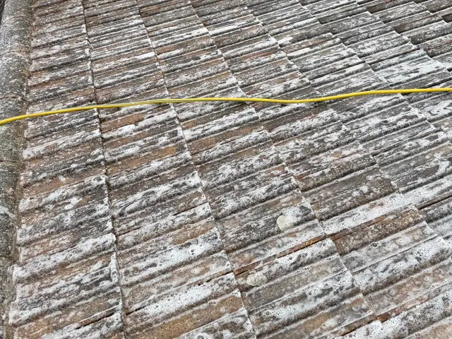 Grey concrete tiles covered in white foamy patches, a yellow hose across them.