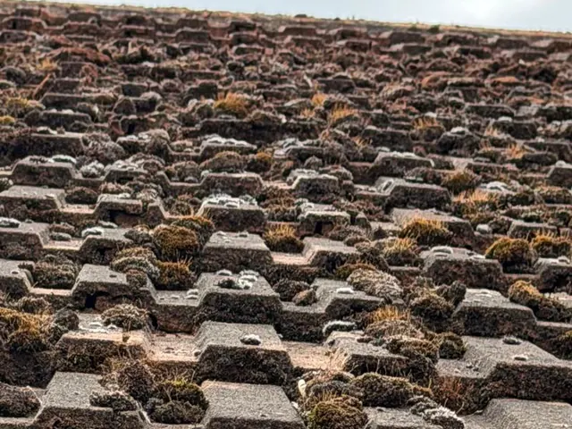 Moss clumps repeating along rows of concrete tiles up to the ridge.