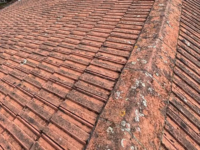 Lichen growing on the red clay ridge tiles of a hipped roof.
