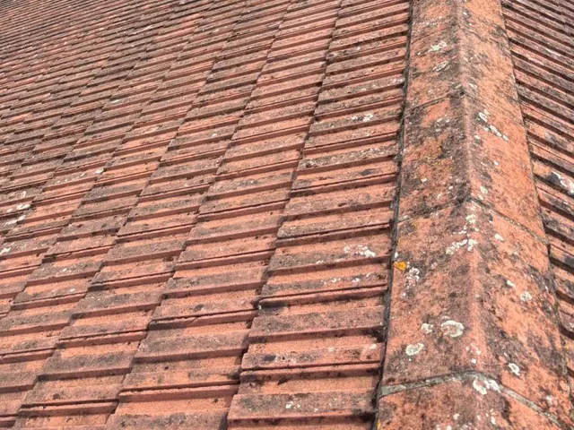 A red clay ridge and the tile courses beside it.