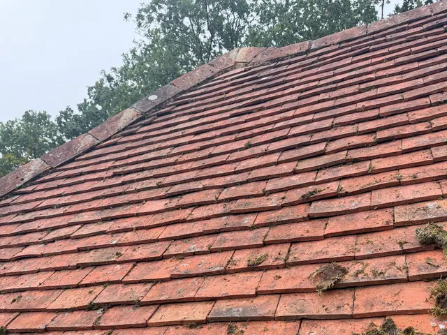 A red clay plain-tile slope under trees, tufts of moss near the bottom edge.