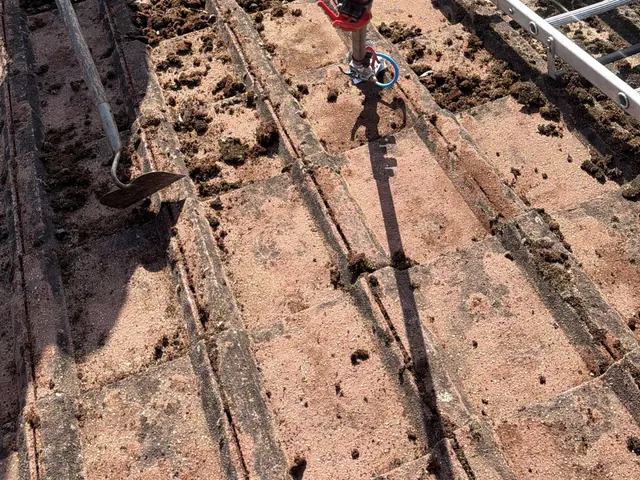 A scraping blade on a long handle beside clumps of moss lifted from concrete tiles, a roof ladder above.